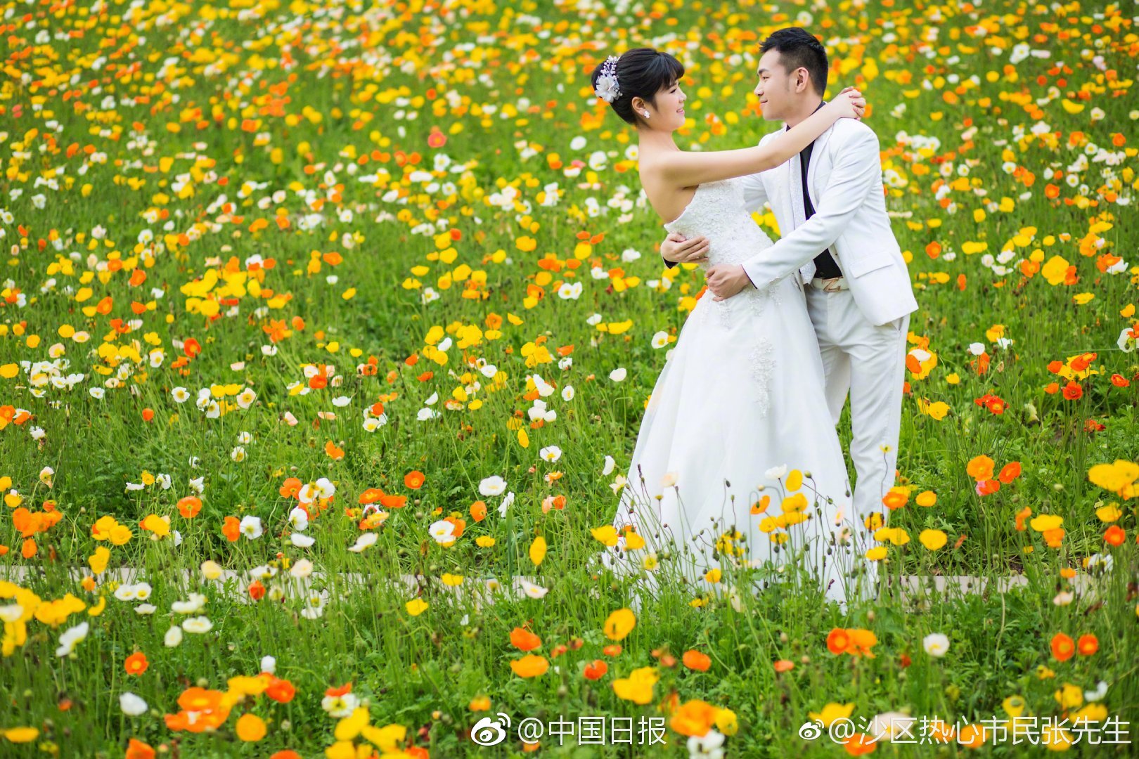 合肥嫩茶wx微信、萧墙之祸,合肥微信新茶嫩茶2021