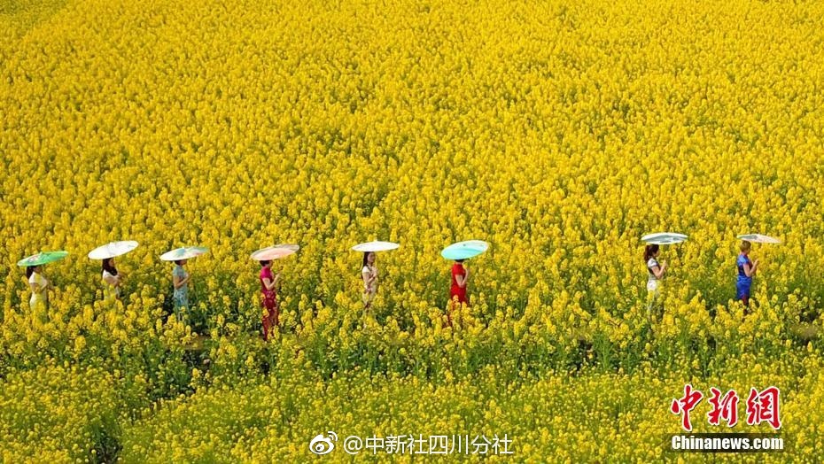网络技术、qq上300块4小时不限,qq400元2小时可靠吗