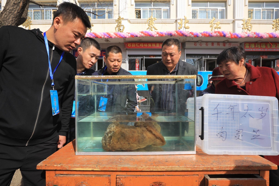 包头东吴路哪里服务好~找寒气,包头东街