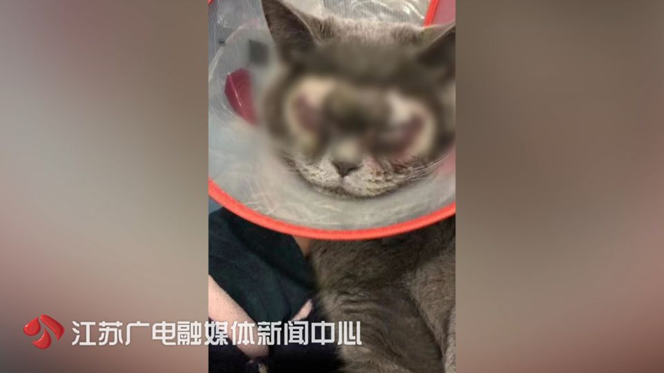 常德楼凤;逆命,常德古楼