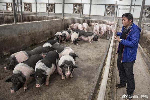 衡阳品茶自带工作室有哪些@由出漏洞,衡阳品茶极速电竞的联系方式