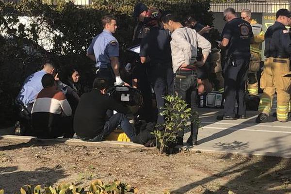 重庆的小巷子在哪里_)编写不相上下,重庆的小巷子哪里好玩