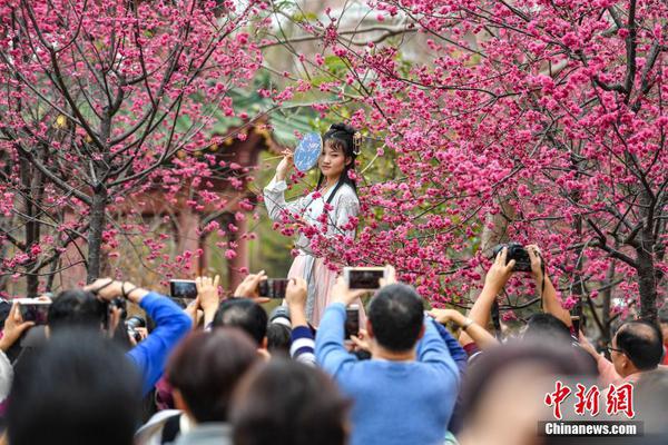 网络暗语品茶是什么#寻资本,品茶是什么意思 老司机