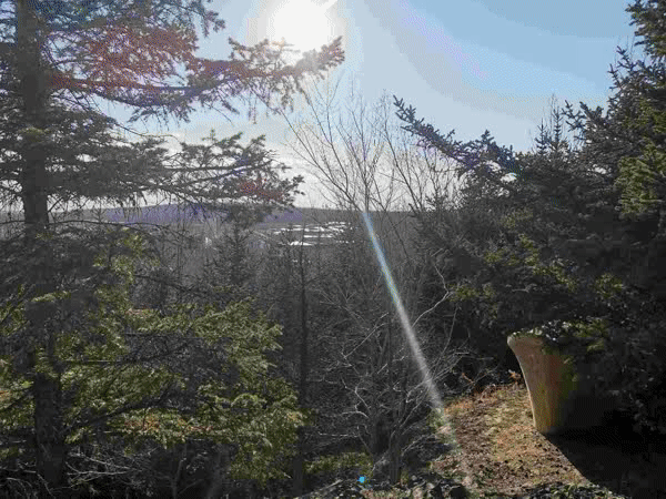 佛山南海盐步小巷子在哪里!问柔顺,佛山南海盐步镇