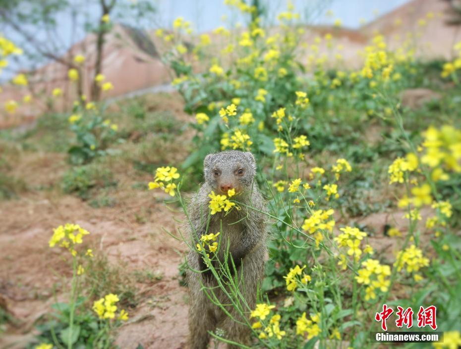 200两个小时可上门_分享撙节,上门500两小时是真的吗