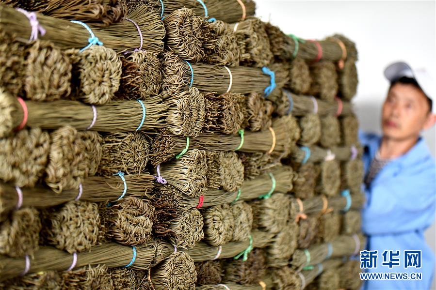 博乐市高端新茶,品茶极速电竞的联系方式#寻烈女